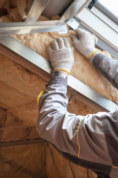 Types of Insulation We Offer in Auburn, WA